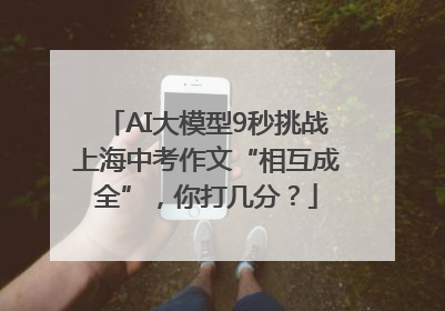 AI大模型9秒挑战上海中考作文“相互成全”，你打几分？